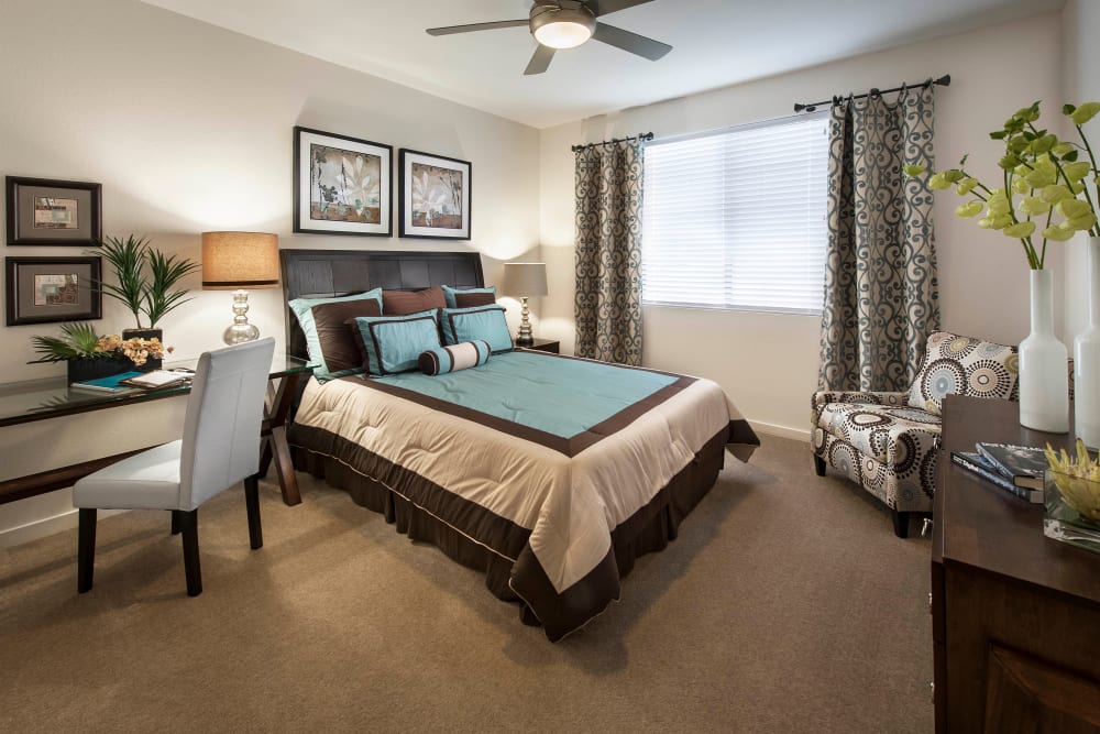 Primary bedroom with plush carpeting and a ceiling fan in a model home at Redstone at SanTan Village in Gilbert, Arizona
