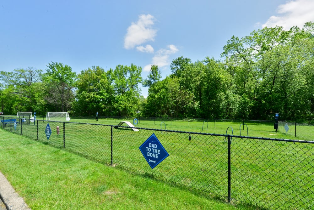 Fenced dog park at Chesterfield Apartment Homes in Levittown, Pennsylvania