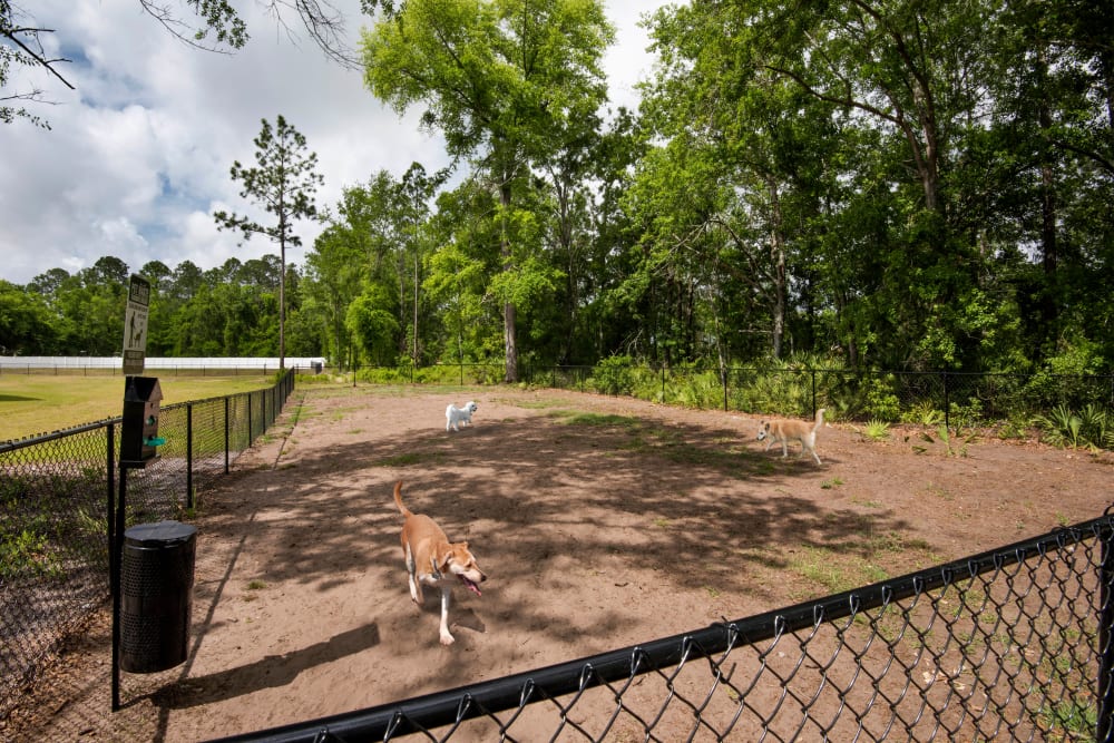 Onsite dog park at The Enclave in Brunswick, Georgia