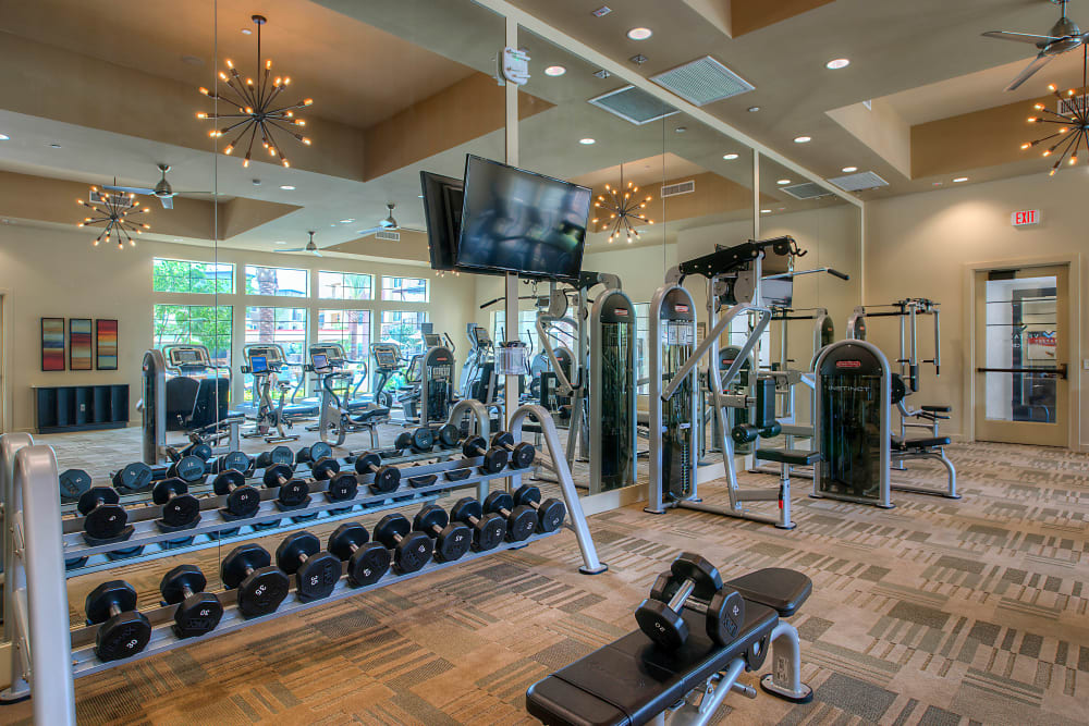 Very well-equipped onsite fitness center at Vistara at SanTan Village in Gilbert, Arizona