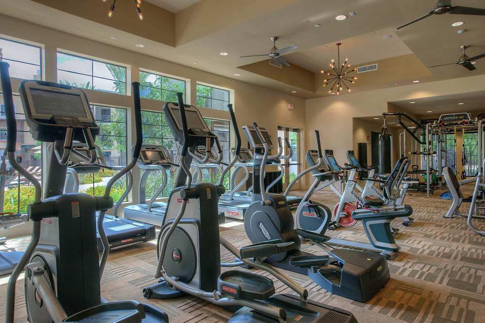 Well-equipped fitness center at Vistara at SanTan Village in Gilbert, Arizona