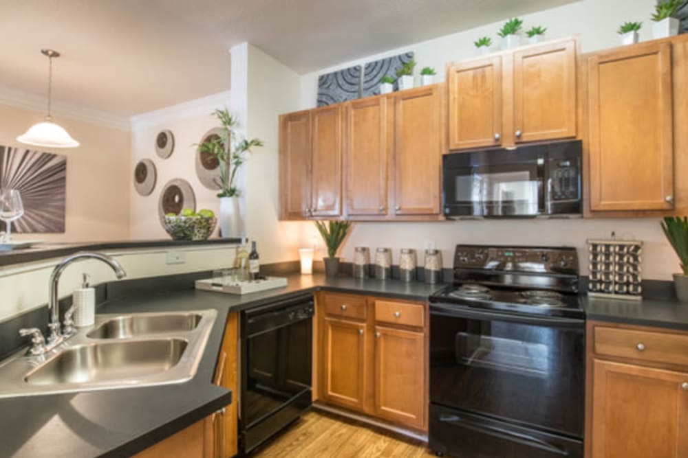 Expansive granite countertops in a model home's kitchen at Walden at Chatham Center in Savannah, Georgia