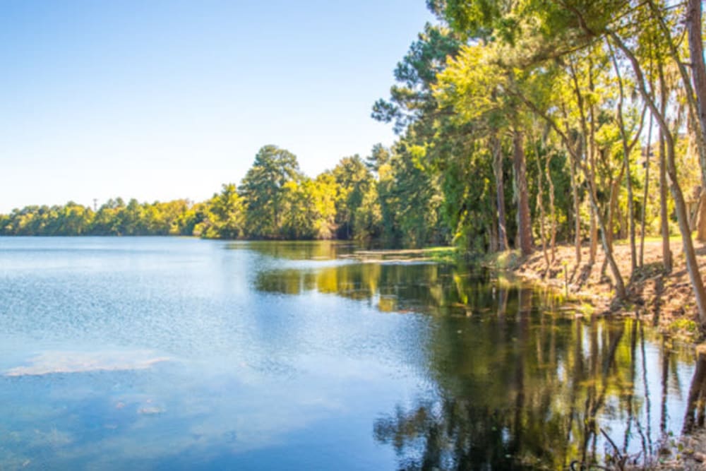 Serene lake with mature trees along the shore at Walden at Chatham Center in Savannah, Georgia
