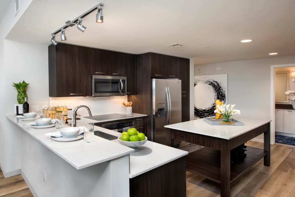 Ultra-modern gourmet kitchen with quartz countertops in a model luxury home at Olympus Harbour Island in Tampa, Florida 