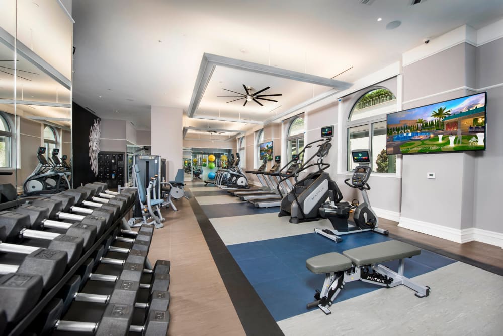 Very well-equipped onsite fitness center at Olympus Harbour Island in Tampa, Florida