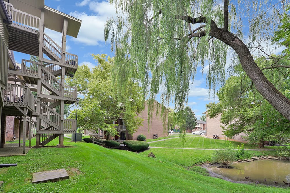 Willow and pond on the grounds of Briarwood Apartments & Townhomes in State College, Pennsylvania