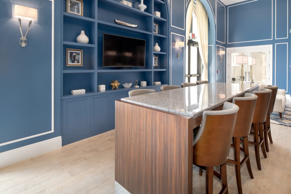 Entertainment center at The Royal Belmont in Belmont, Massachusetts
