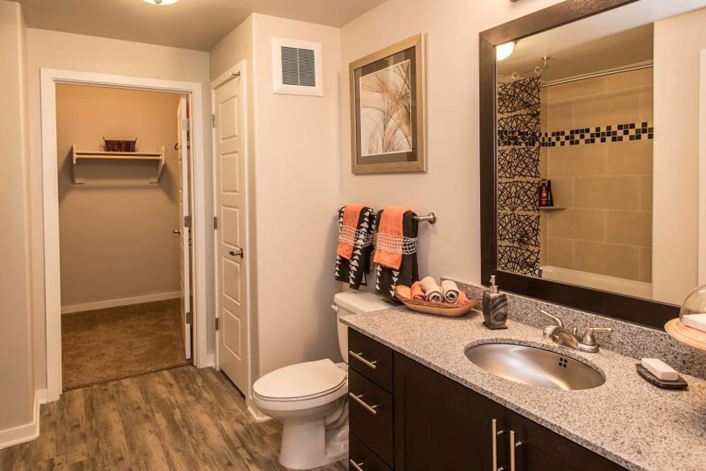 Bathroom at Luxe Scottsdale Apartments in Scottsdale, Arizona