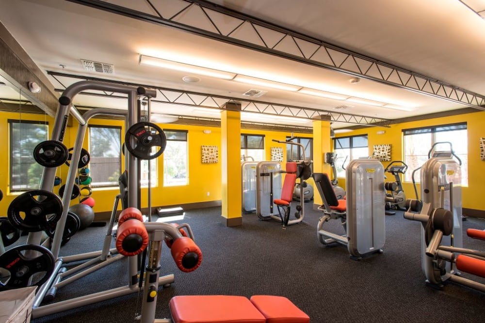 Fully equipped fitness center at Luxe Scottsdale Apartments in Scottsdale, Arizona