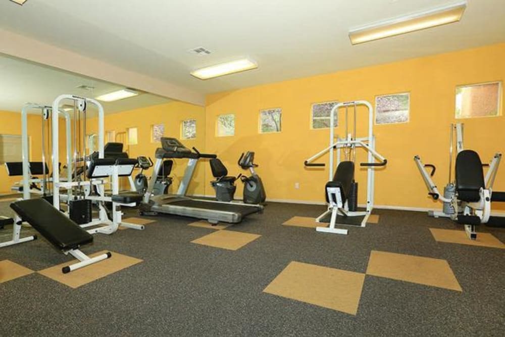 Well-equipped fitness center at Alterra Apartments in Las Vegas, Nevada