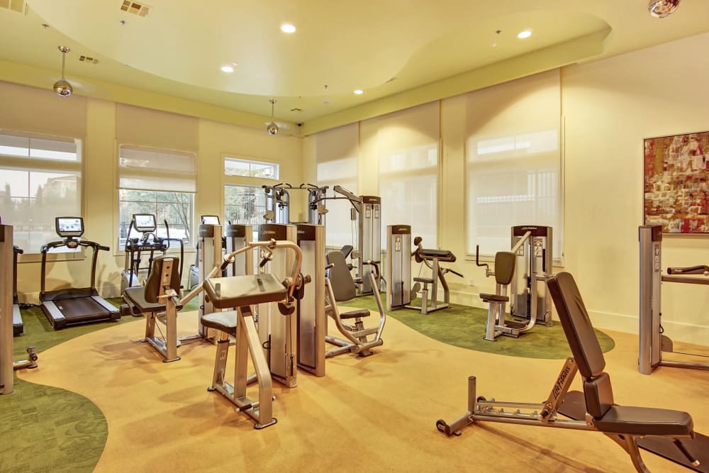 Our Apartments in Henderson, Nevada offer a Fitness Center