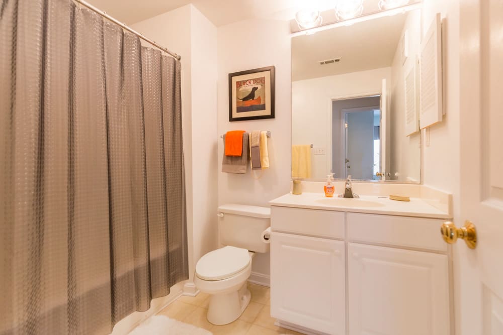 Model bathroom and shower at Belmont Landing in Farmville, Virginia