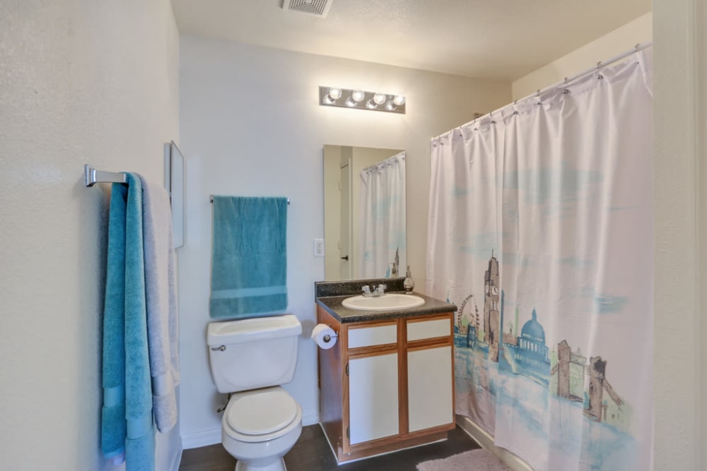 Bathroom at Buffalo Run Apartments in Fort Collins, Colorado