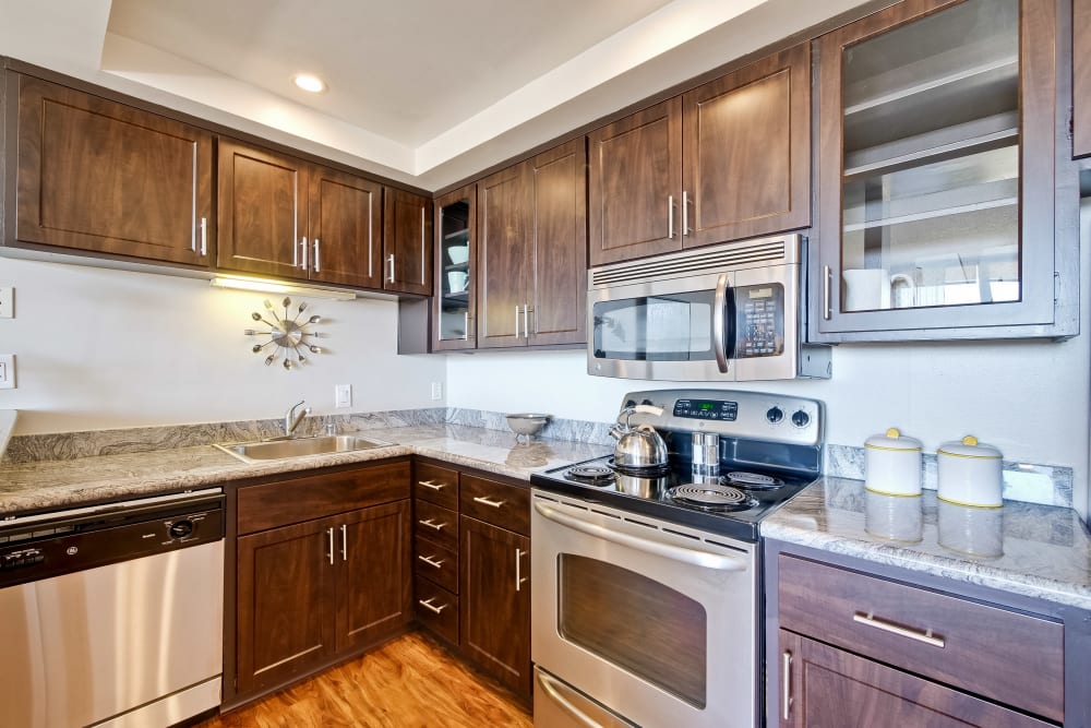 Luxury kitchens with stainless steel appliances at The Marc, Palo Alto