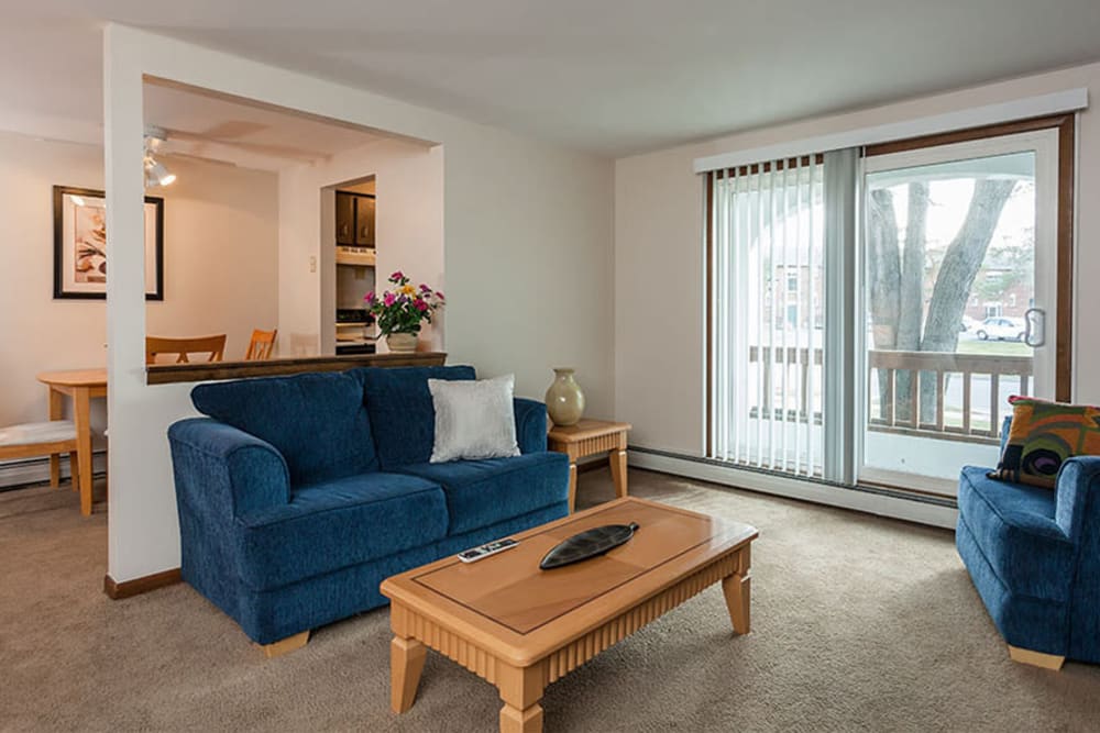 Living room at Raintree Island Apartments in Tonawanda, New York