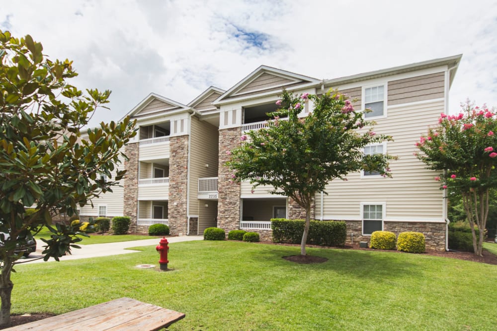 Grassy lawn outside of Sunchase Apartments in Greenville, North Carolina