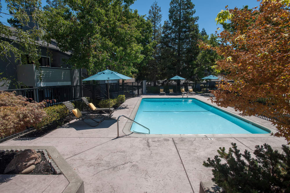 Full-size swimming pool with a sundeck at Plum Tree Apartment Homes in Martinez, California