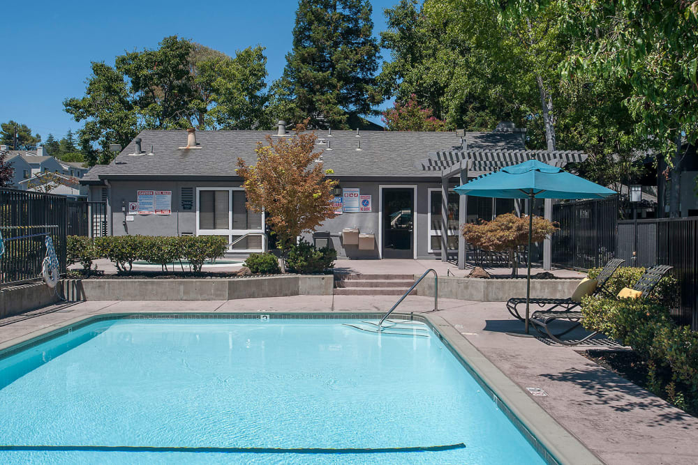 Swimming pool with lounge chairs and umbrellas at Plum Tree Apartment Homes in Martinez, California