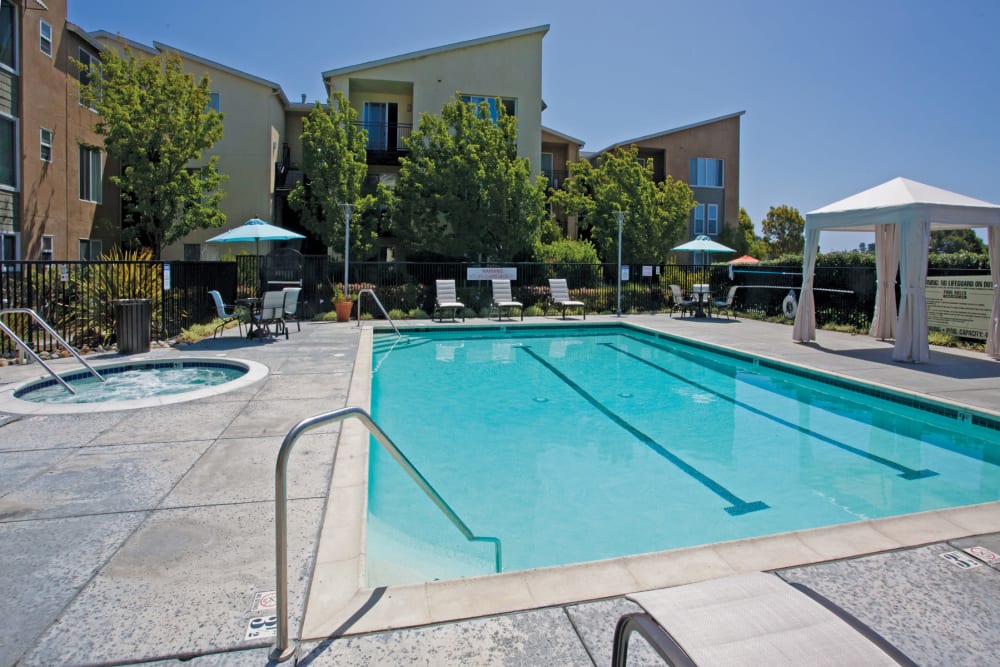 Lap pool and spa at Pacific Shores
