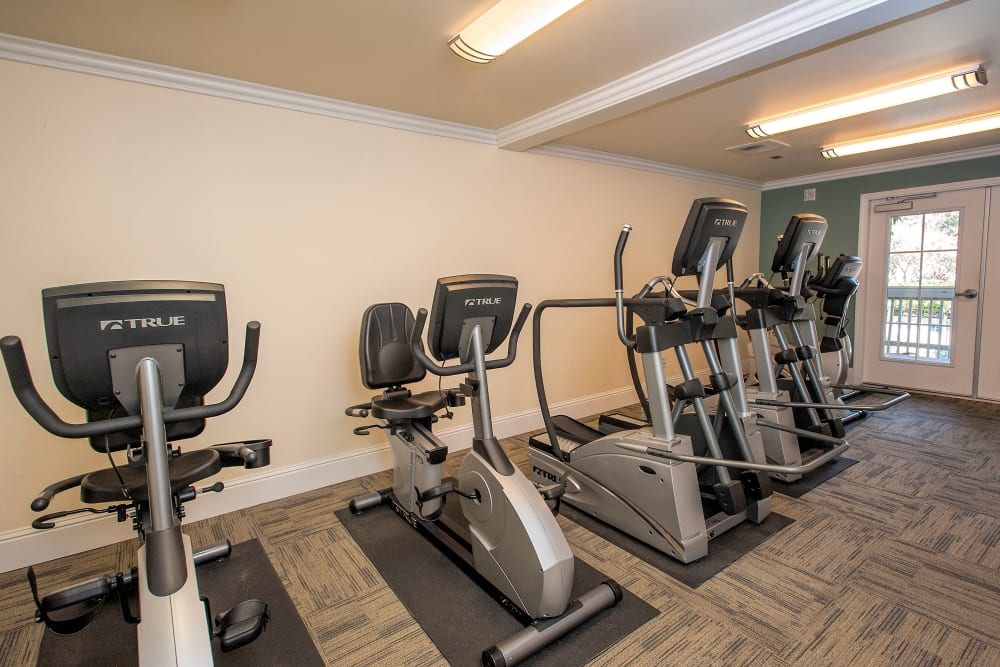 Fitness center with plenty of workout stations at Regency Plaza Apartment Homes in Martinez, California