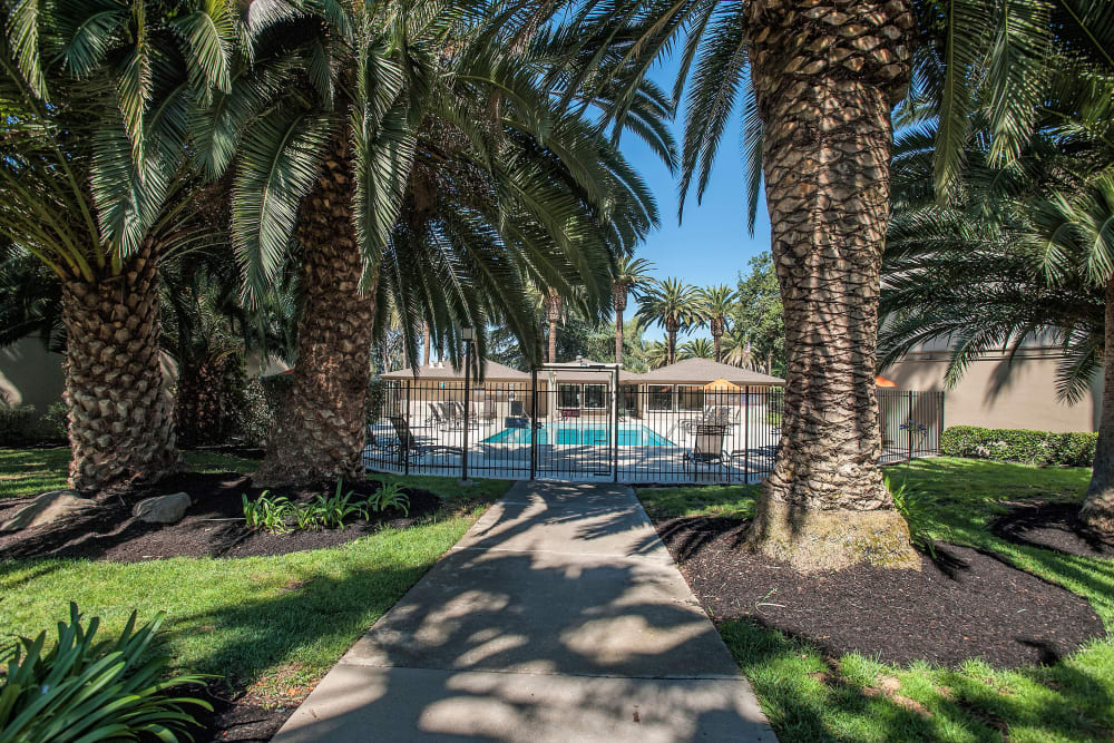 Walkway to the pool at Villa Palms Apartment Homes in Livermore, California