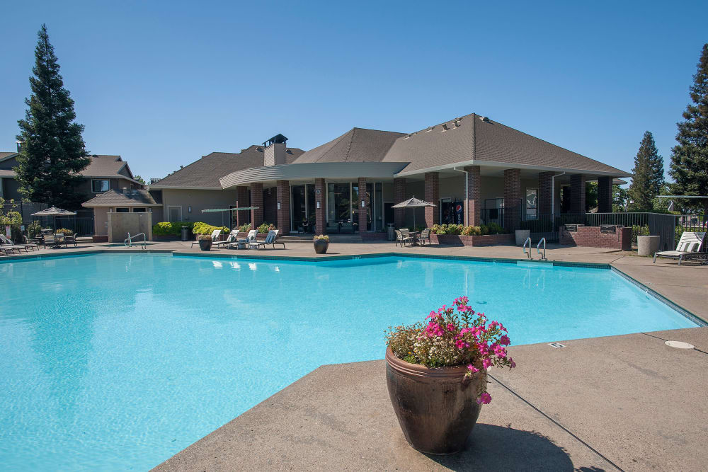 A luxurious bright blue swimming pool at Deer Valley Apartment Homes in Roseville, California