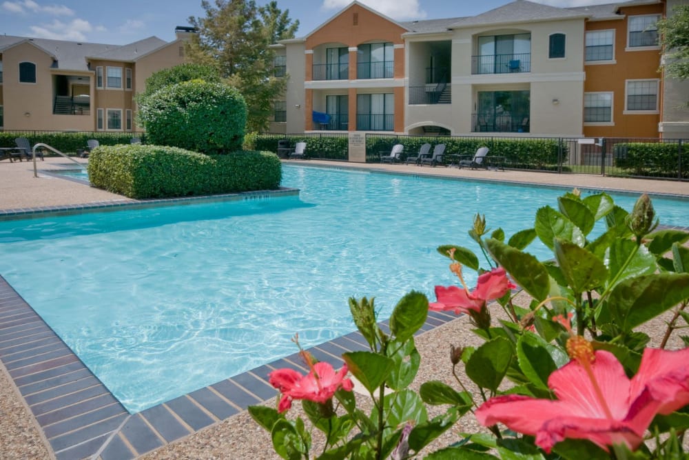 Resort-style swimming pool with beautifully maintained flora nearby at Rockbrook Creek in Lewisville, Texas