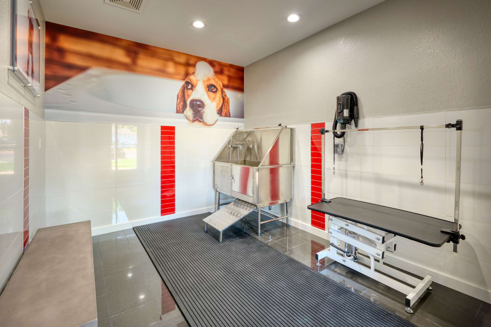 Dog Spa Wash Room at Westridge Apartments in Aurora, Colorado