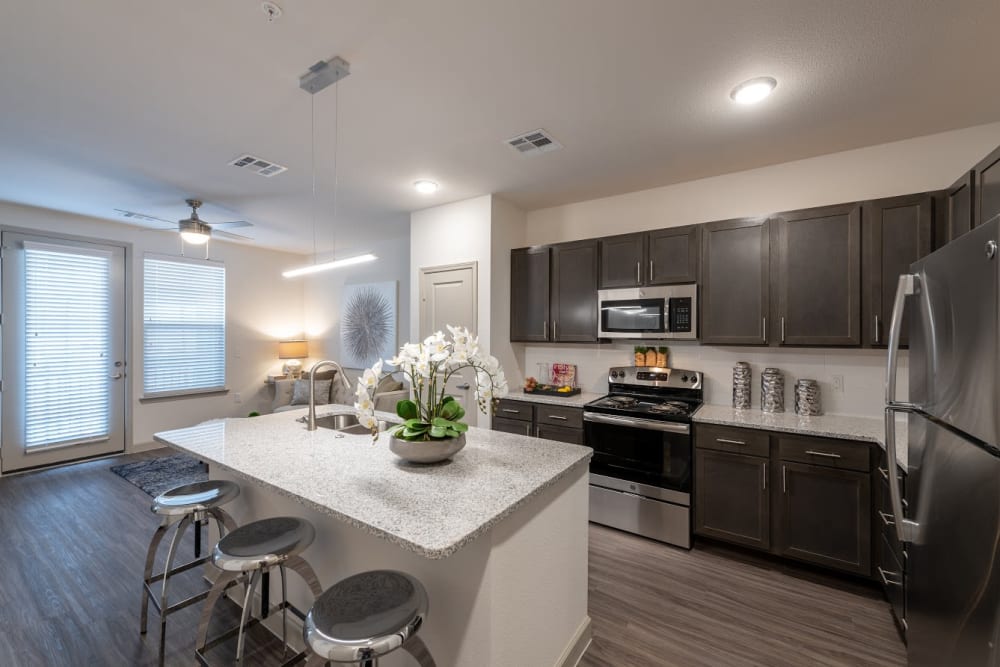 High end senior apartment with stainless steel appliances and granite style countertops at The Luxe at Cedar Hill in Cedar Hill, Texas