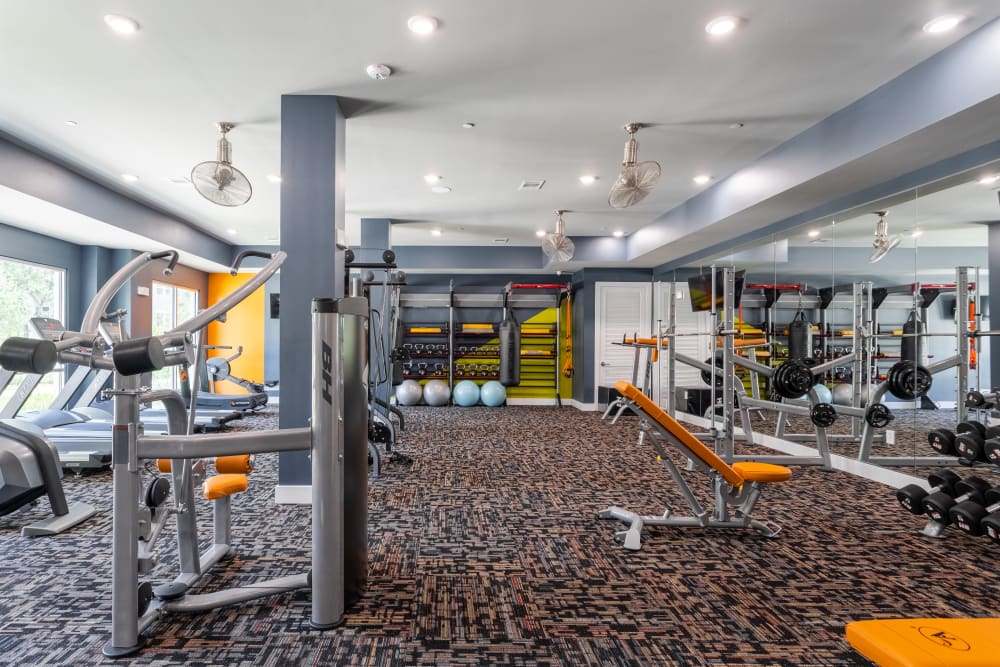 Enjoy a modern fitness center at The Abbey at Sonterra in San Antonio, Texas