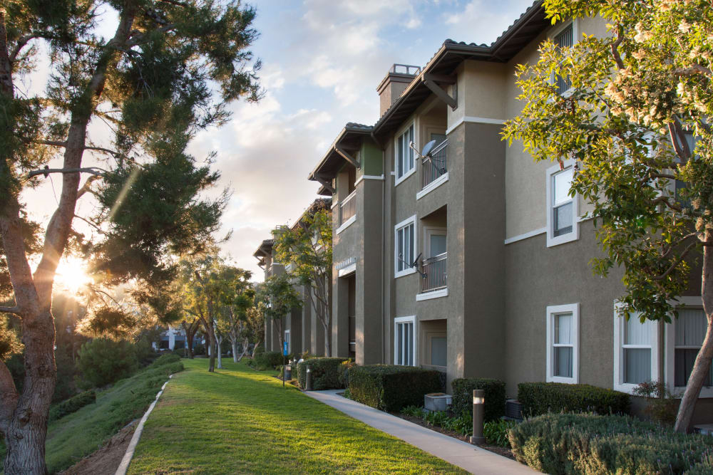 Creative Alicante Apartments Aliso Viejo Ca with Simple Decor