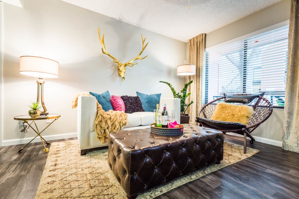 Hardwood flooring and area rug help focus attention on fine furnishings in this beautiful living room at 4127 Arcadia in Phoenix, Arizona