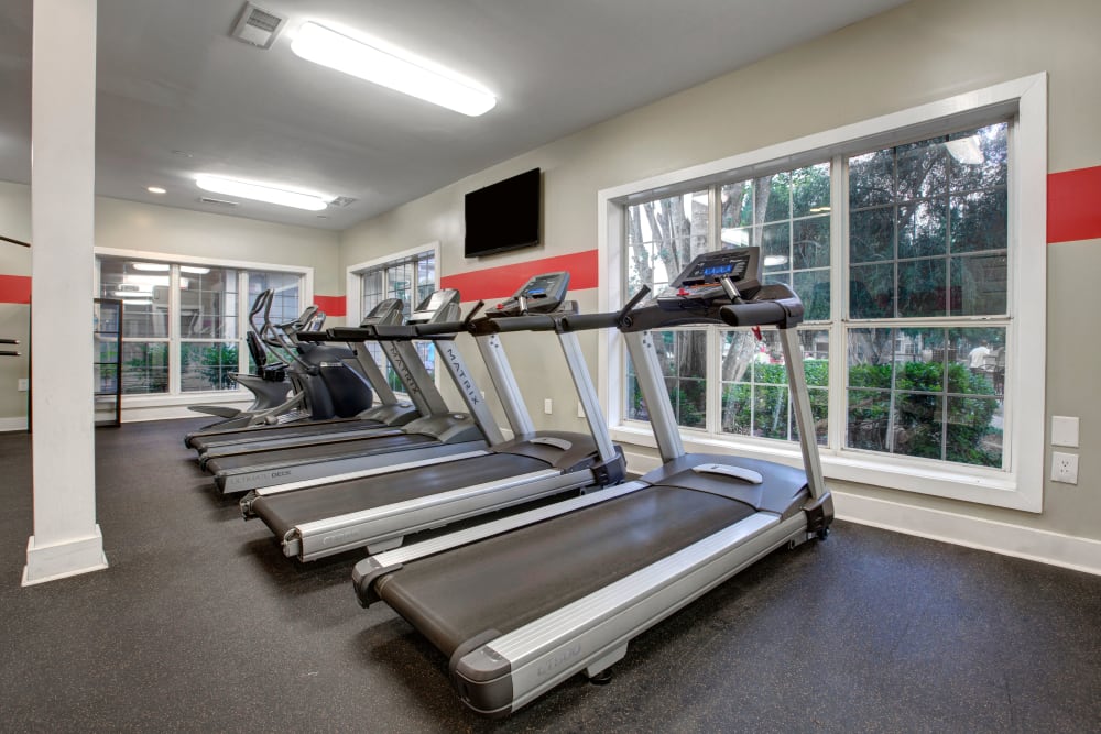 Fitness center featuring treadmills and other exercise equipment at Avia at North Springs in Atlanta, Georgia 