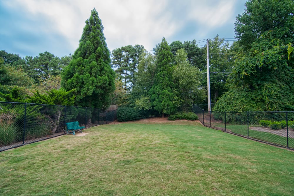 Large grassy field with mature trees located at Bellingham Apartment Homes in Marietta, Georgia
