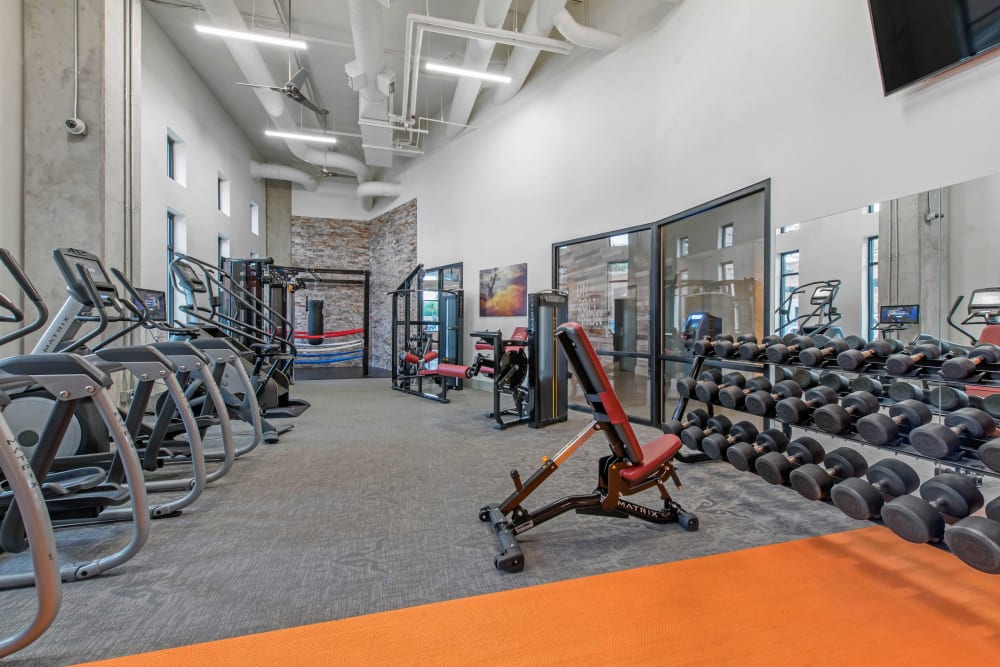 Well equipped fitness center at UNCOMMON Fort Collins in Fort Collins, Colorado