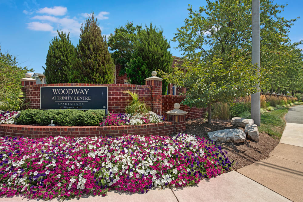 Photos of Woodway at Trinity Centre Apartments in Centreville, VA