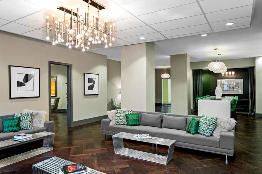 Photos of Skyline New Rochelle in New Rochelle, NY