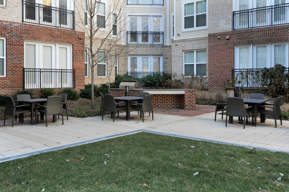 Photos Of The Mark At Brickyard Apartment Homes In Beltsville Md