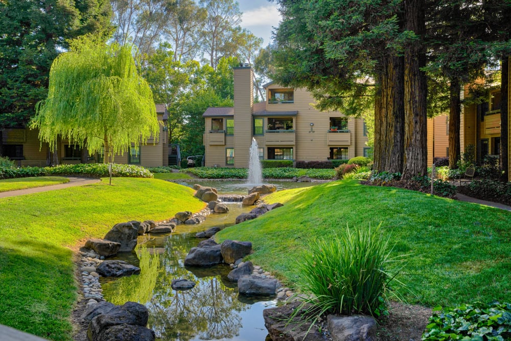 Small water feature running through grounds at Shadow Creek Apartment Homes