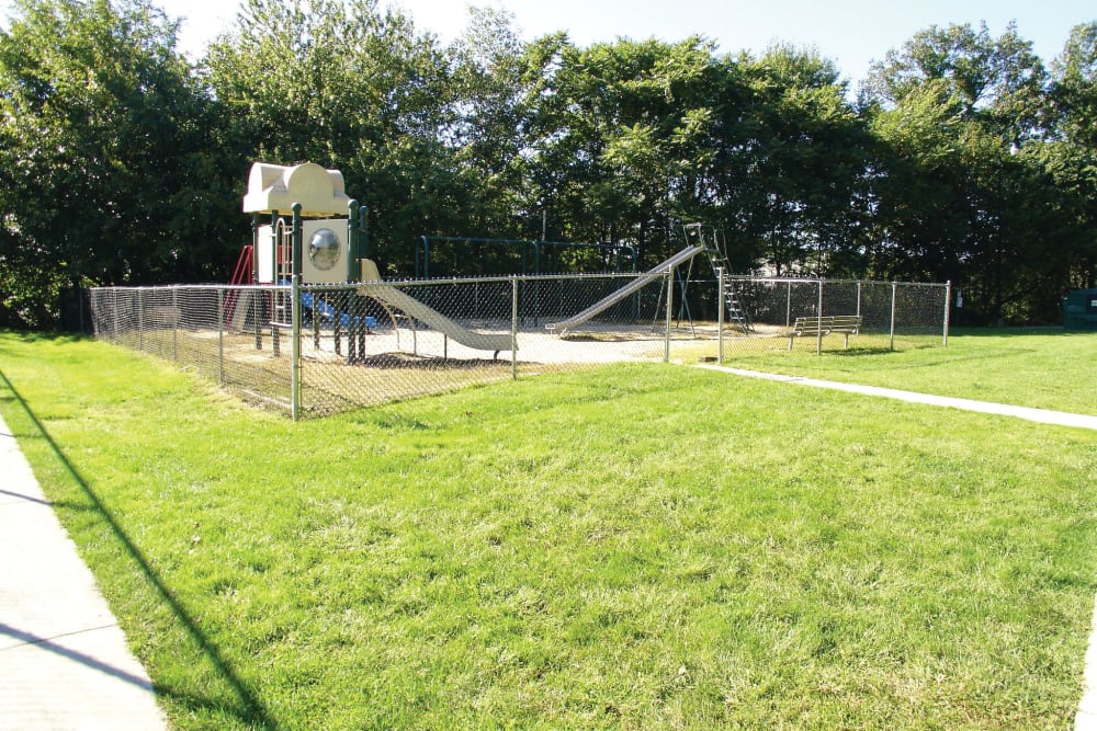 Playground and grassy field with mature trees in the background at The Heights At Marlborough in Marlborough, Massachusetts