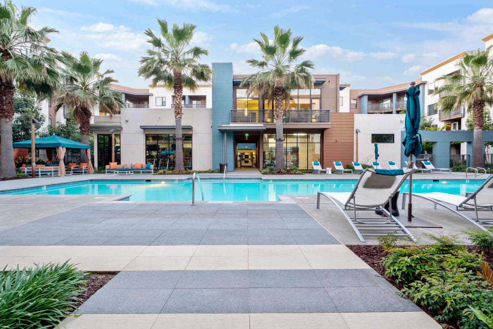 Sparkling swimming pool at Sofi Riverview Park