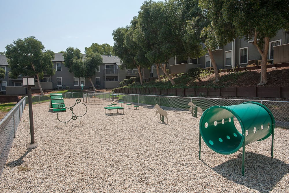 Onsite dog park with an ability course at Sandpiper Village Apartment Homes in Vacaville, California