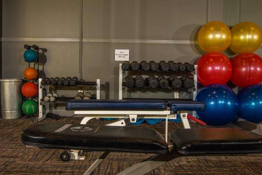 Free weights and exercise balls in the fitness center at The Lodge at River Park in Fort Worth, Texas