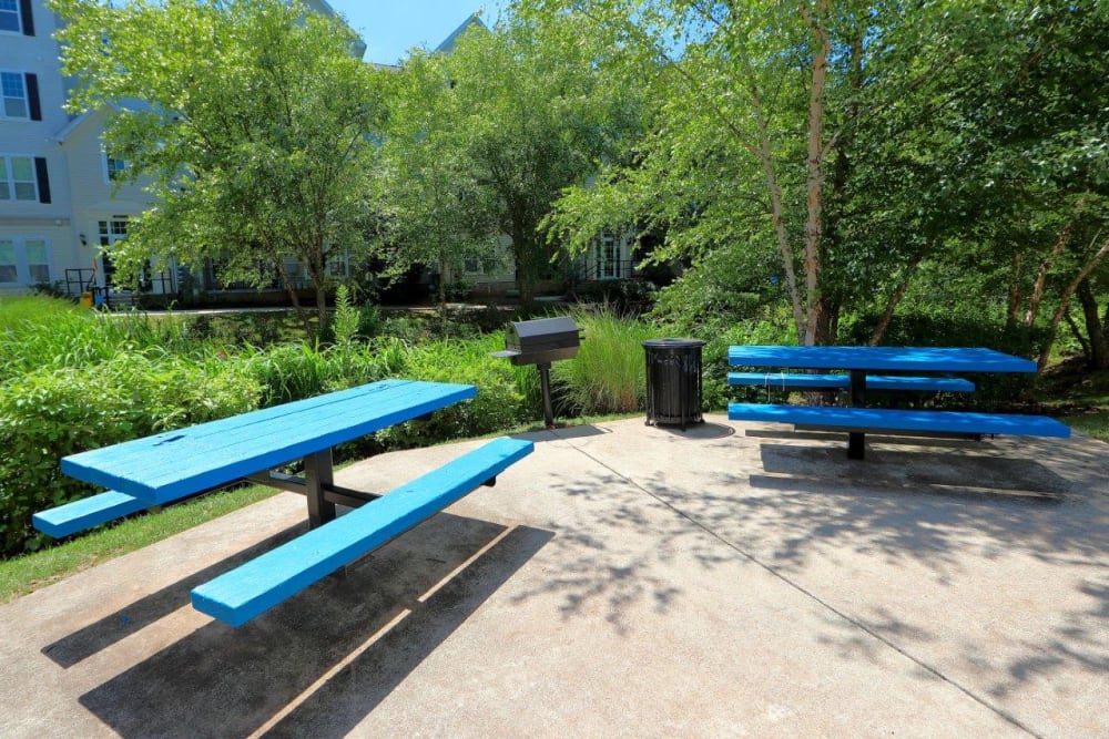 Picnic Area at The Village at Potomac Falls Apartment Homes in Sterling, VA