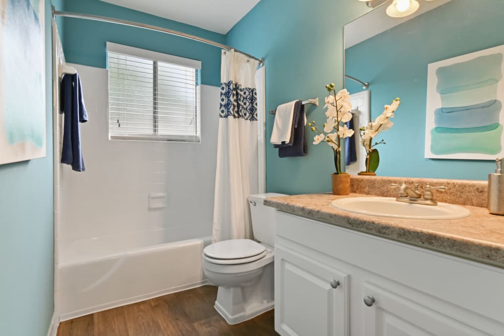 Large vanity mirror in a model apartment's bathroom at Crest at Riverside in Roswell, Georgia