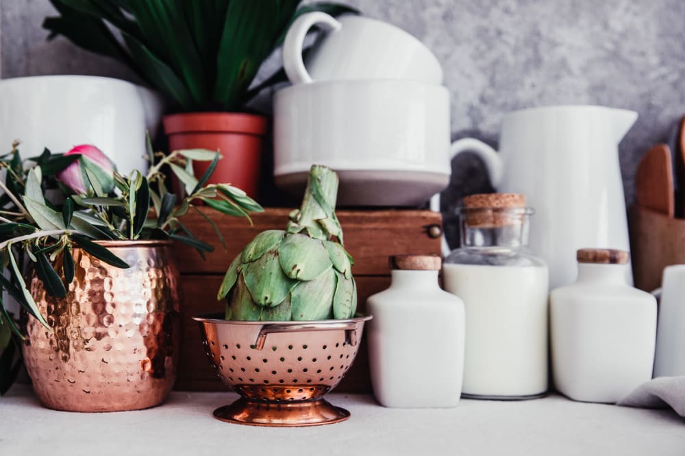 Plants on a kitchen counter at Artisan Living Bella Citta in Davenport, Florida