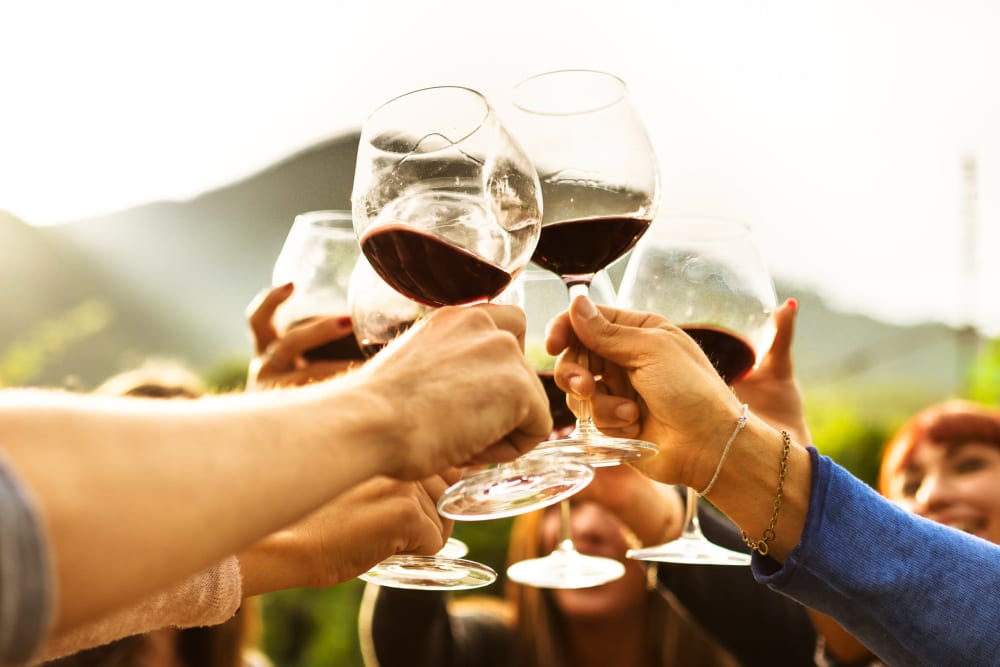 Friends sharing glasses of wine near Storage Star Napa in Napa, California