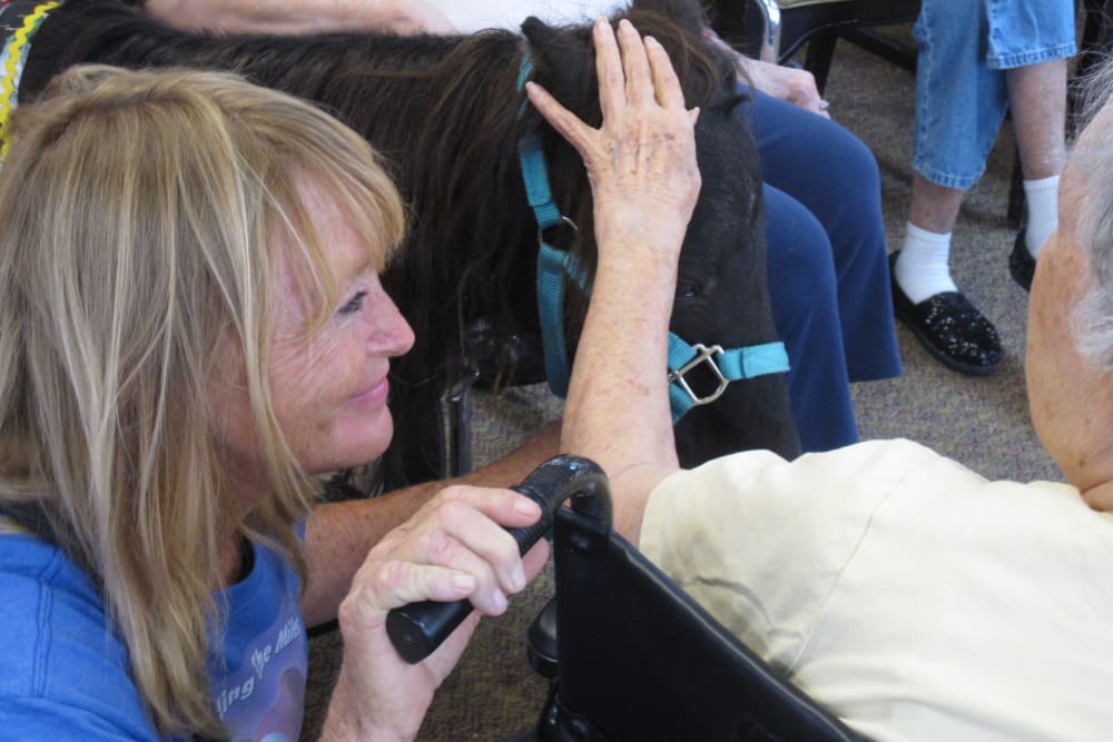 Petting ponies at Woodland Palms Memory Care in Tucson, Arizona