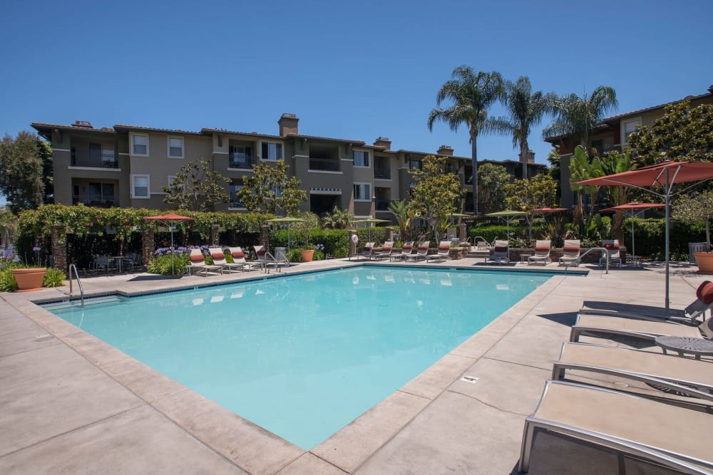 Resort-style swimming pool at Alicante Apartment Homes in Aliso Viejo, California