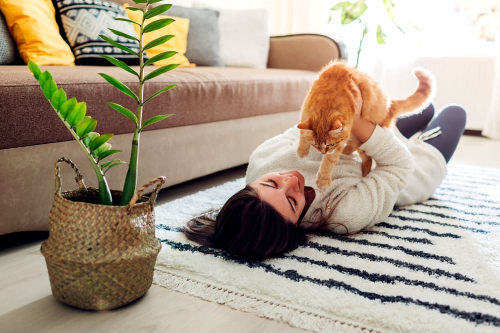 Resident with her cat loving their new life at Remington Cove Apartments in Apple Valley, Minnesota